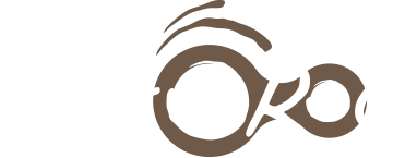 logo echoroc footer